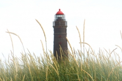Borkum