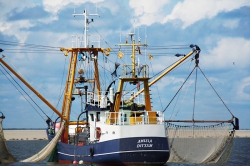 Borkum