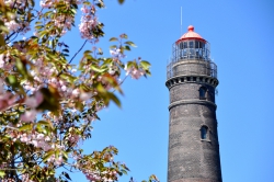 Borkum