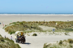 Borkum
